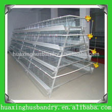 china popular and good quality chicken layer poultry designs